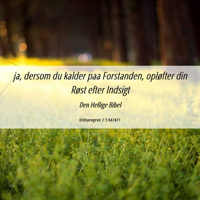Picture 06 - Ordsprogene 2:3 DA1871 - ja, dersom du kalder paa Forstanden, opløfter - Bible Verse Picture