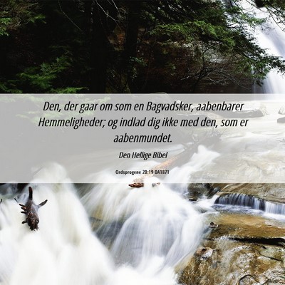 Picture 06 - Ordsprogene 20:19 DA1871 - Den, der gaar om som en Bagvadsker, aabenbarer - Bible Verse Picture