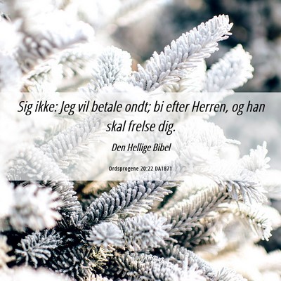 Picture 06 - Ordsprogene 20:22 DA1871 - Sig ikke: Jeg vil betale ondt; bi efter Herren, - Bible Verse Picture