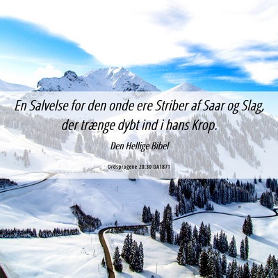 Picture 06 - Ordsprogene 20:30 DA1871 - En Salvelse for den onde ere Striber af Saar og - Bible Verse Picture