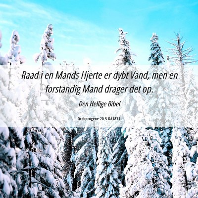 Picture 06 - Ordsprogene 20:5 DA1871 - Raad i en Mands Hjerte er dybt Vand, men en - Bible Verse Picture