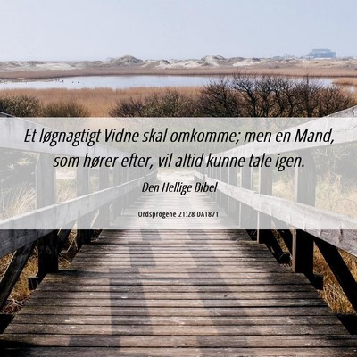 Picture 06 - Ordsprogene 21:28 DA1871 - Et løgnagtigt Vidne skal omkomme; men en Mand, - Bible Verse Picture