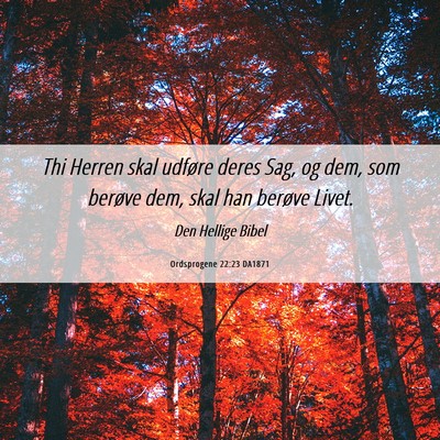 Picture 06 - Ordsprogene 22:23 DA1871 - Thi Herren skal udføre deres Sag, og dem, som - Bible Verse Picture