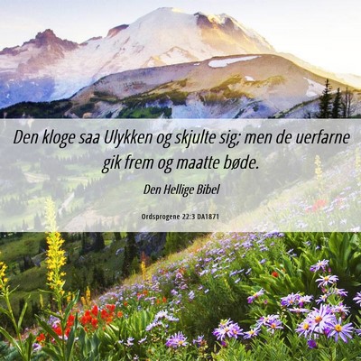 Picture 06 - Ordsprogene 22:3 DA1871 - Den kloge saa Ulykken og skjulte sig; men de - Bible Verse Picture