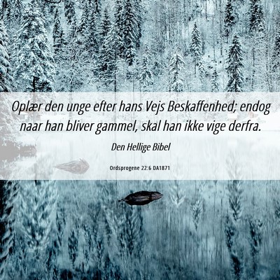 Picture 06 - Ordsprogene 22:6 DA1871 - Oplær den unge efter hans Vejs Beskaffenhed; - Bible Verse Picture