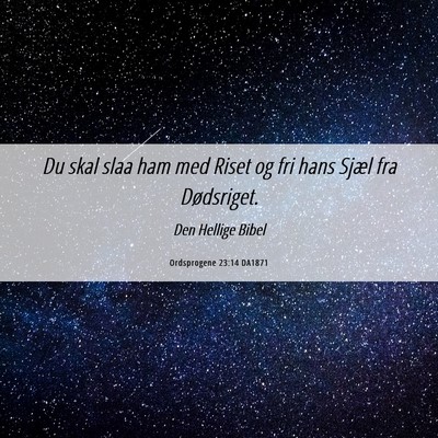 Picture 06 - Ordsprogene 23:14 DA1871 - Du skal slaa ham med Riset og fri hans Sjæl fra - Bible Verse Picture