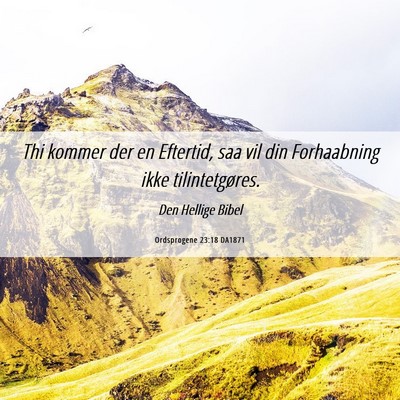 Picture 06 - Ordsprogene 23:18 DA1871 - Thi kommer der en Eftertid, saa vil din - Bible Verse Picture