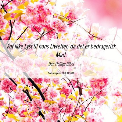 Picture 06 - Ordsprogene 23:3 DA1871 - Fat ikke Lyst til hans Livretter, da det er - Bible Verse Picture