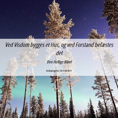 Picture 06 - Ordsprogene 24:3 DA1871 - Ved Visdom bygges et Hus, og ved Forstand - Bible Verse Picture
