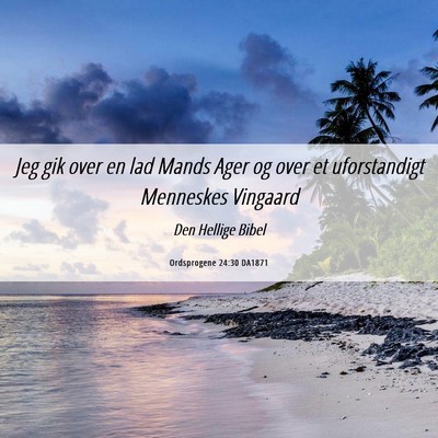 Picture 06 - Ordsprogene 24:30 DA1871 - Jeg gik over en lad Mands Ager og over et - Bible Verse Picture