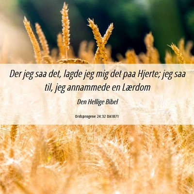 Picture 06 - Ordsprogene 24:32 DA1871 - Der jeg saa det, lagde jeg mig det paa Hjerte; - Bible Verse Picture