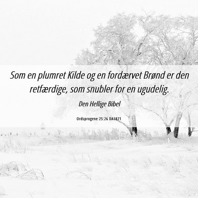 Picture 06 - Ordsprogene 25:26 DA1871 - Som en plumret Kilde og en fordærvet Brønd er - Bible Verse Picture