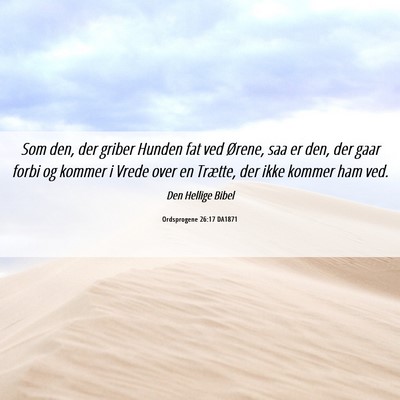 Picture 06 - Ordsprogene 26:17 DA1871 - Som den, der griber Hunden fat ved Ørene, saa er - Bible Verse Picture