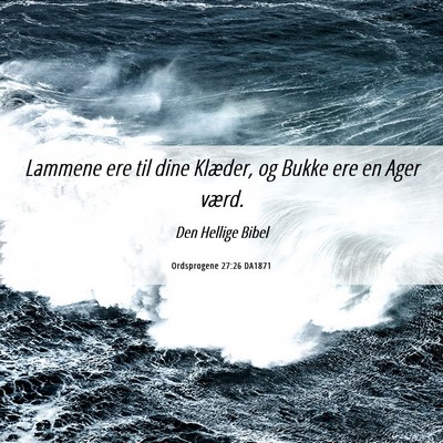 Picture 06 - Ordsprogene 27:26 DA1871 - Lammene ere til dine Klæder, og Bukke ere en - Bible Verse Picture