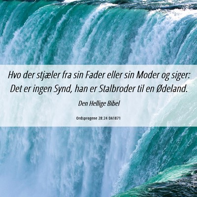 Picture 06 - Ordsprogene 28:24 DA1871 - Hvo der stjæler fra sin Fader eller sin Moder og - Bible Verse Picture
