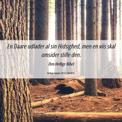 Picture 06 - Ordsprogene 29:11 DA1871 - En Daare udlader al sin Hidsighed, men en viis - Bible Verse Picture