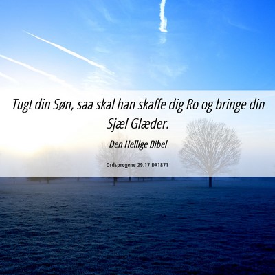 Picture 06 - Ordsprogene 29:17 DA1871 - Tugt din Søn, saa skal han skaffe dig Ro og - Bible Verse Picture