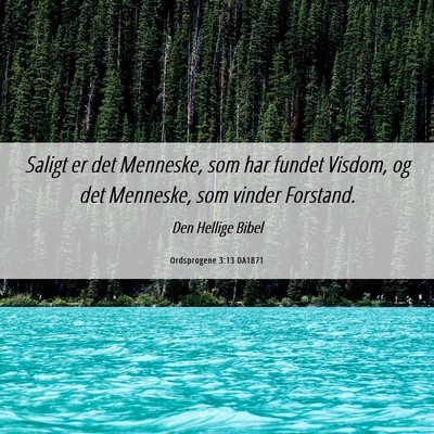 Picture 06 - Ordsprogene 3:13 DA1871 - Saligt er det Menneske, som har fundet Visdom, og - Bible Verse Picture