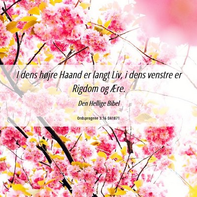 Picture 06 - Ordsprogene 3:16 DA1871 - I dens højre Haand er langt Liv, i dens venstre - Bible Verse Picture