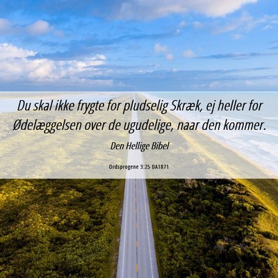 Picture 06 - Ordsprogene 3:25 DA1871 - Du skal ikke frygte for pludselig Skræk, ej - Bible Verse Picture