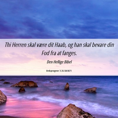 Picture 06 - Ordsprogene 3:26 DA1871 - Thi Herren skal være dit Haab, og han skal - Bible Verse Picture