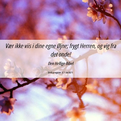 Picture 06 - Ordsprogene 3:7 DA1871 - Vær ikke viis i dine egne Øjne; frygt Herren, - Bible Verse Picture