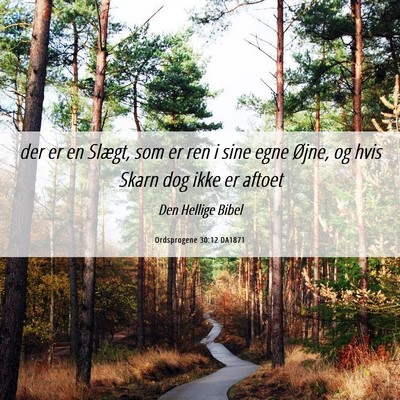 Picture 06 - Ordsprogene 30:12 DA1871 - der er en Slægt, som er ren i sine egne Øjne, - Bible Verse Picture