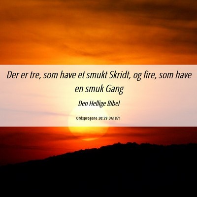 Picture 06 - Ordsprogene 30:29 DA1871 - Der er tre, som have et smukt Skridt, og fire, - Bible Verse Picture
