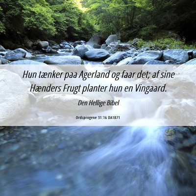Picture 06 - Ordsprogene 31:16 DA1871 - Hun tænker paa Agerland og faar det; af sine - Bible Verse Picture