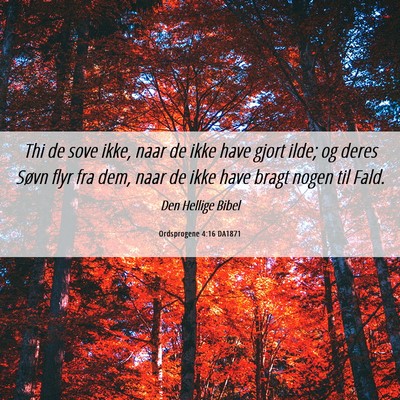 Picture 06 - Ordsprogene 4:16 DA1871 - Thi de sove ikke, naar de ikke have gjort ilde; - Bible Verse Picture