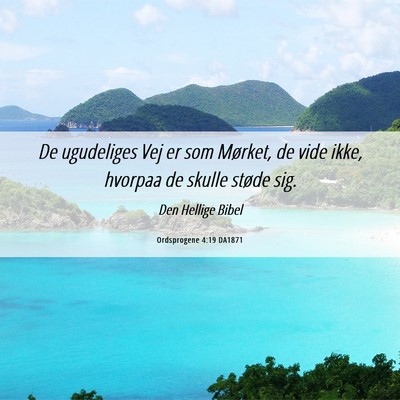 Picture 06 - Ordsprogene 4:19 DA1871 - De ugudeliges Vej er som Mørket, de vide ikke, - Bible Verse Picture