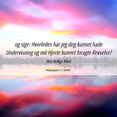 Picture 06 - Ordsprogene 5:12 DA1871 - og sige: Hvorledes har jeg dog kunnet hade - Bible Verse Picture