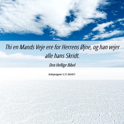 Picture 06 - Ordsprogene 5:21 DA1871 - Thi en Mands Veje ere for Herrens Øjne, og han - Bible Verse Picture