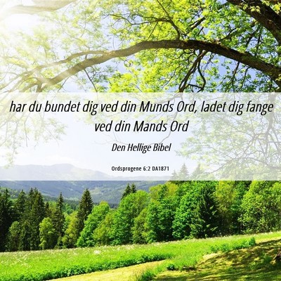 Picture 06 - Ordsprogene 6:2 DA1871 - har du bundet dig ved din Munds Ord, ladet dig - Bible Verse Picture