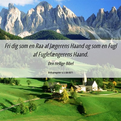 Picture 06 - Ordsprogene 6:5 DA1871 - Fri dig som en Raa af Jægerens Haand og som en - Bible Verse Picture