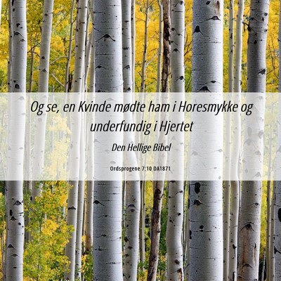 Picture 06 - Ordsprogene 7:10 DA1871 - Og se, en Kvinde mødte ham i Horesmykke og - Bible Verse Picture