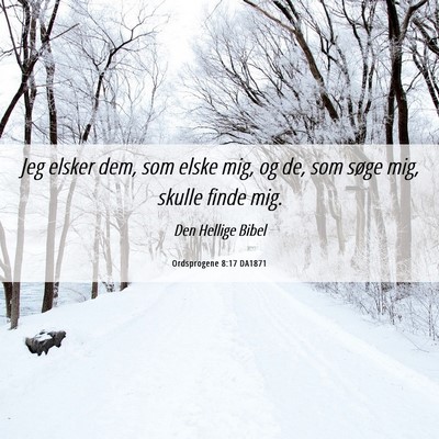 Picture 06 - Ordsprogene 8:17 DA1871 - Jeg elsker dem, som elske mig, og de, som søge - Bible Verse Picture