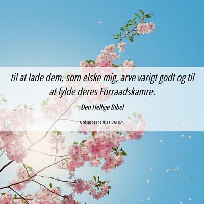 Picture 06 - Ordsprogene 8:21 DA1871 - til at lade dem, som elske mig, arve varigt godt - Bible Verse Picture