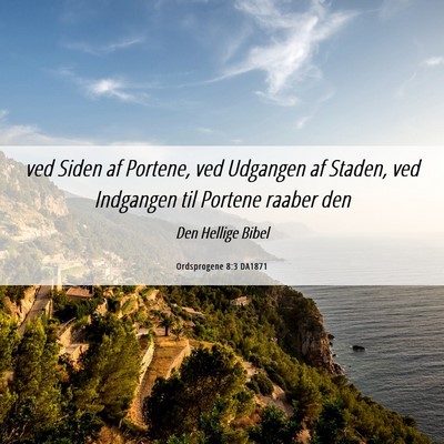 Picture 06 - Ordsprogene 8:3 DA1871 - ved Siden af Portene, ved Udgangen af Staden, ved - Bible Verse Picture