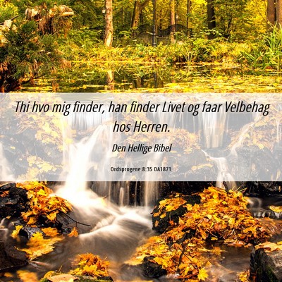Picture 06 - Ordsprogene 8:35 DA1871 - Thi hvo mig finder, han finder Livet og faar - Bible Verse Picture