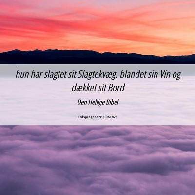 Picture 06 - Ordsprogene 9:2 DA1871 - hun har slagtet sit Slagtekvæg, blandet sin Vin - Bible Verse Picture