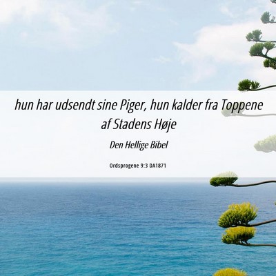 Picture 06 - Ordsprogene 9:3 DA1871 - hun har udsendt sine Piger, hun kalder fra - Bible Verse Picture