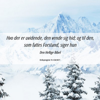 Picture 06 - Ordsprogene 9:4 DA1871 - Hvo der er uvidende, den vende sig hid; og til - Bible Verse Picture