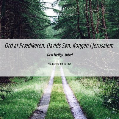 Picture 06 - Prædikeren 1:1 DA1871 - Ord af Prædikeren, Davids Søn, Kongen i - Bible Verse Picture