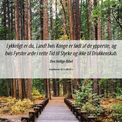 Picture 06 - Prædikeren 10:17 DA1871 - Lykkeligt er du, Land! hvis Konge er født af de - Bible Verse Picture