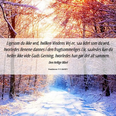 Picture 06 - Prædikeren 11:5 DA1871 - Ligesom du ikke ved, hvilken Vindens Vej er, saa - Bible Verse Picture