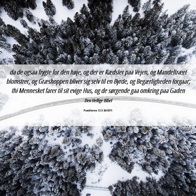 Picture 06 - Prædikeren 12:5 DA1871 - da de ogsaa frygte for den høje, og der er - Bible Verse Picture