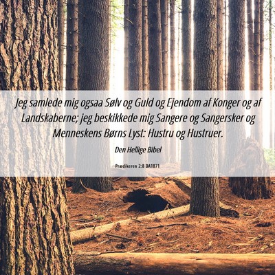 Picture 06 - Prædikeren 2:8 DA1871 - Jeg samlede mig ogsaa Sølv og Guld og Ejendom af - Bible Verse Picture