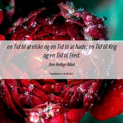 Picture 06 - Prædikeren 3:8 DA1871 - en Tid til at elske og en Tid til at hade; en Tid - Bible Verse Picture
