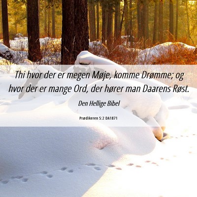 Picture 06 - Prædikeren 5:2 DA1871 - Thi hvor der er megen Møje, komme Drømme; og - Bible Verse Picture